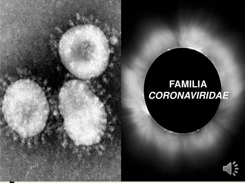 Familia Coronaviridae