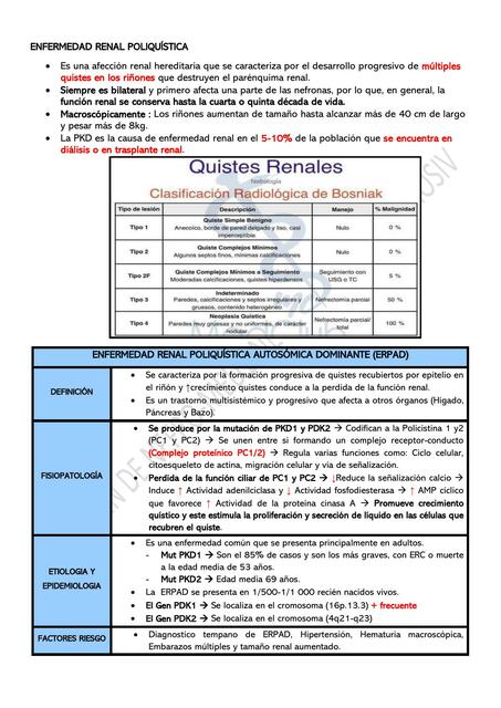 Enfermedad Renal Poliquística 