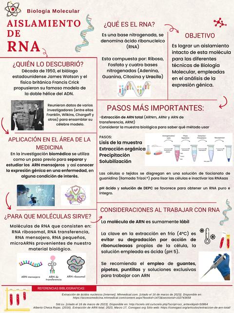 Aislamiento de RNA