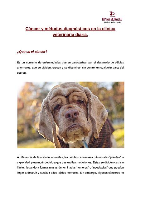 Cáncer y métodos diagnósticos en la clínica veterinaria diaria.