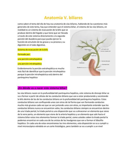 Anatomía Vias Biliares