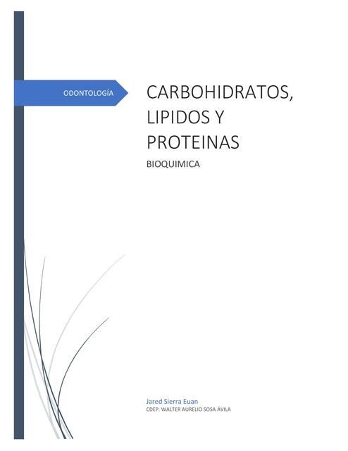 Carbohidratos, Proteínas y Lípidos 