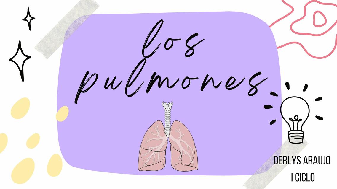 Los Pulmones 