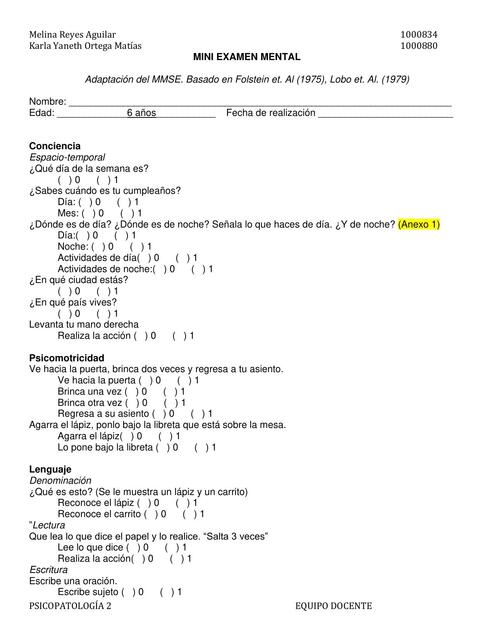 Mini Examen Mental 