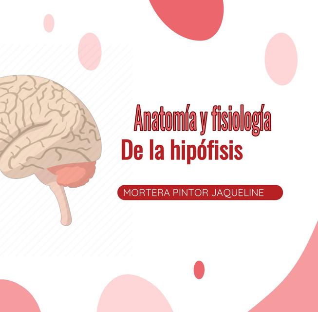 Anatomía y Fisiología de la hipófisis