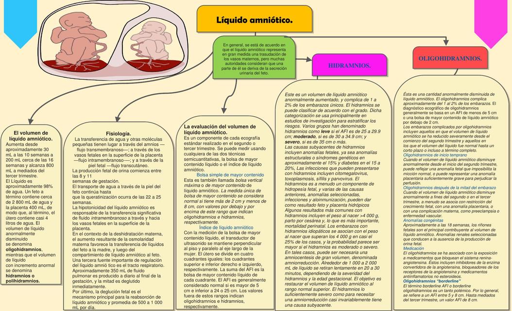 Liquido amniótico 