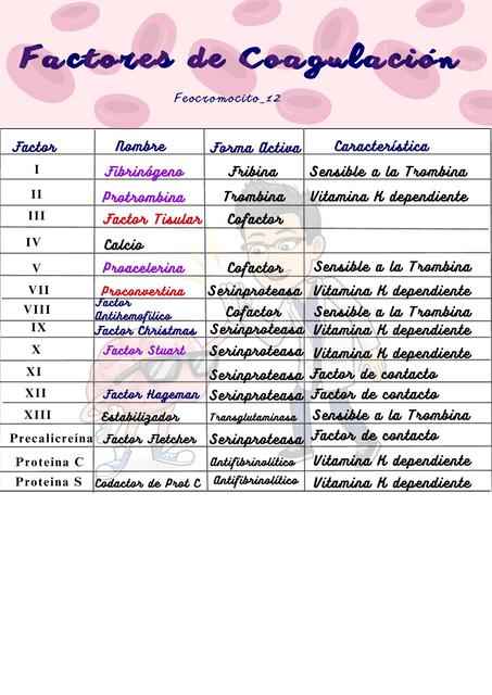 Factores de la Coagulación Feocromocito_12 uDocz