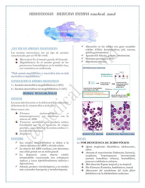 Anemia megaloblástica - Medicina Interna. Hematología.