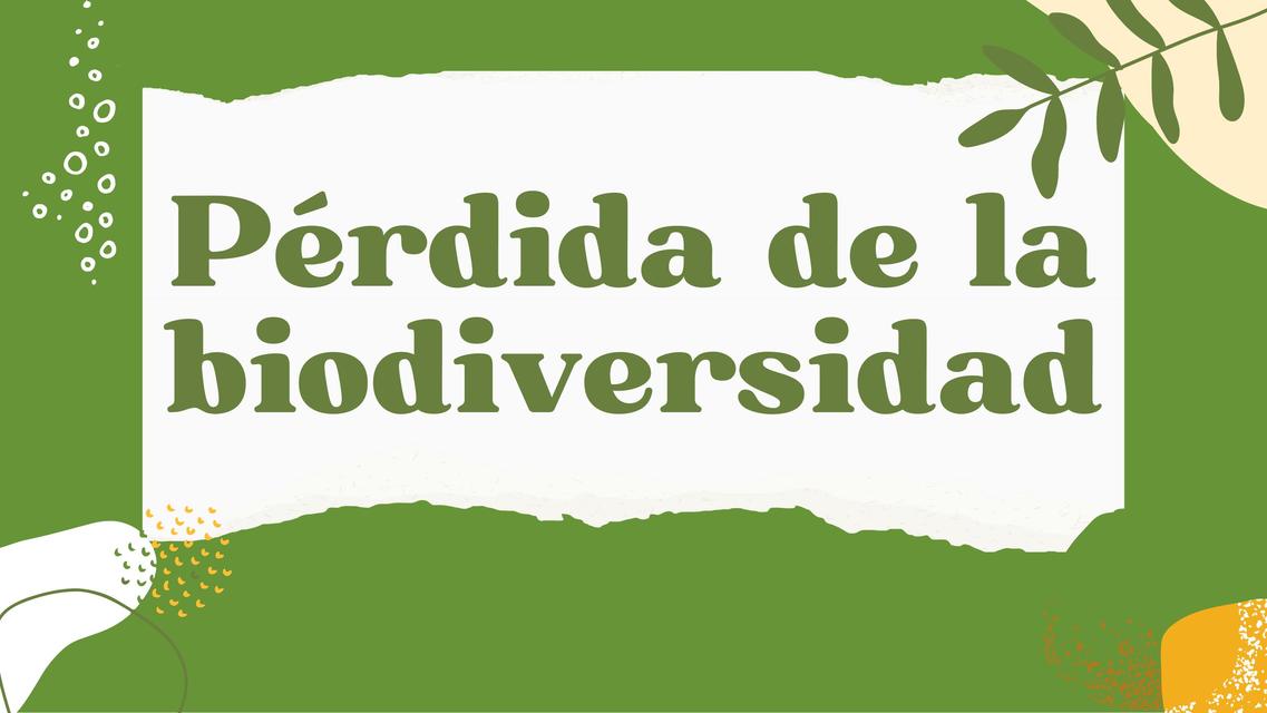 Pérdida de la Biodiversidad