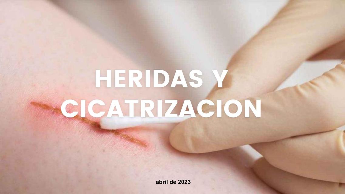 Heridas y cicatrización