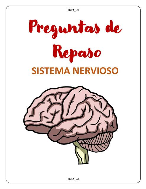 Sistema Nervioso -Preguntas de Repaso