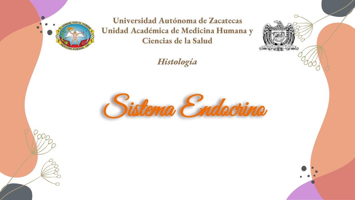 Sistema Endocrino