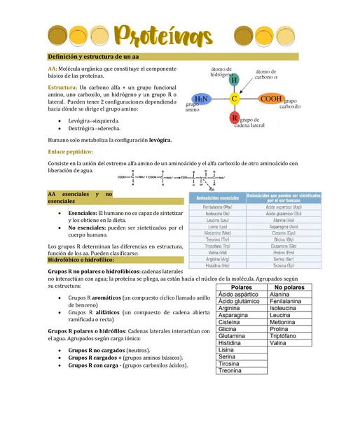 Metabolismo de las proteínas  