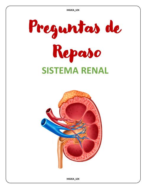 Sistema renal preguntas de repaso