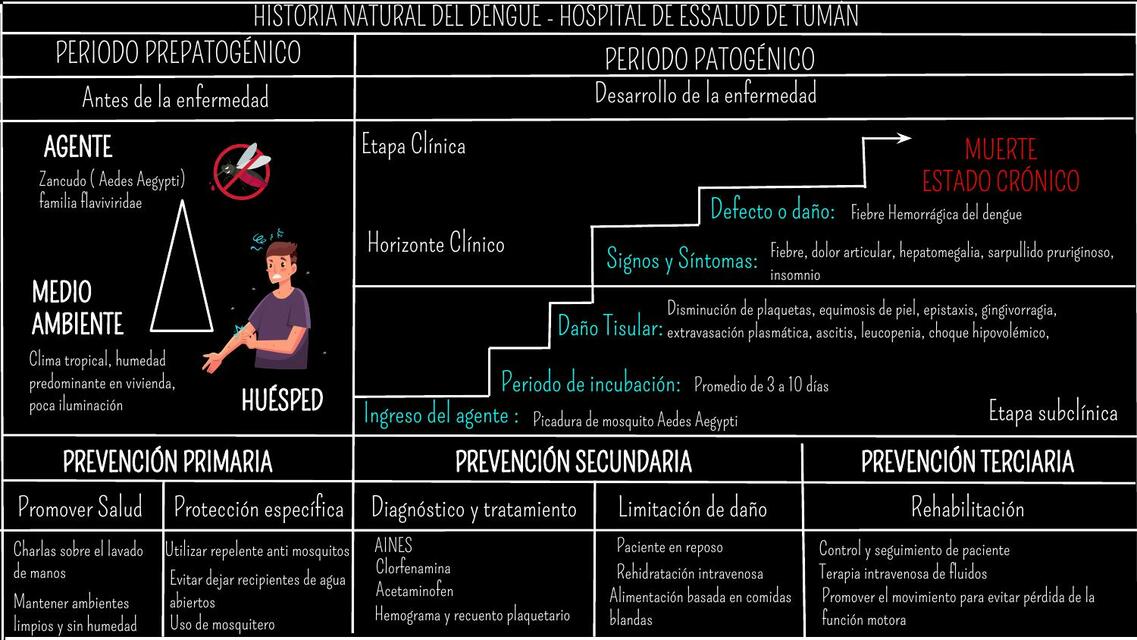 Historia Natural del Dengue