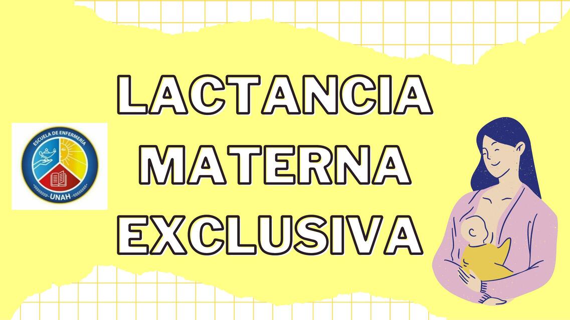 Lactancia Materna Exclusiva 