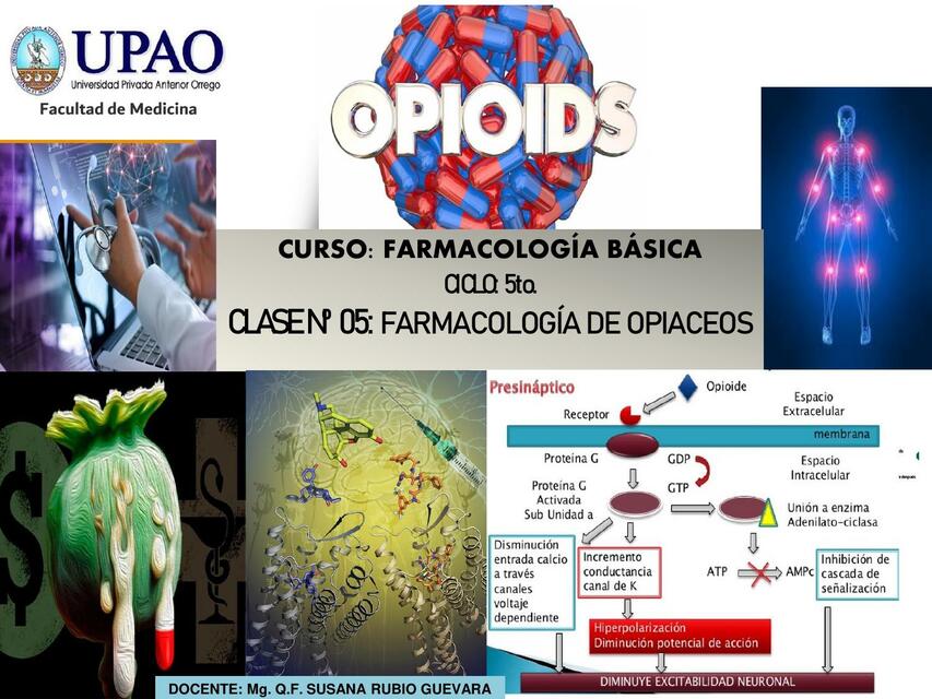 Farmacología de opiáceos 