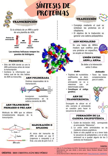 Síntesis de proteínas