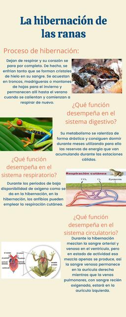 La hibernación de las ranas | lñkljkjkljkljkljlkj | uDocz