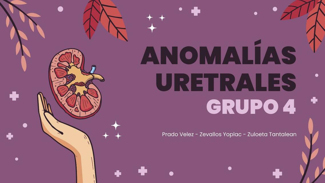 Anomalías uretrales 