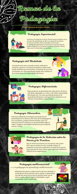 Infografía "Ramas de la Pedagogía"