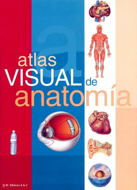 Atlas Visual de Anatomía 