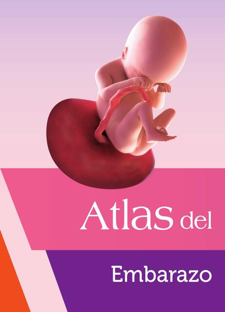 Atlas del Embarazo 