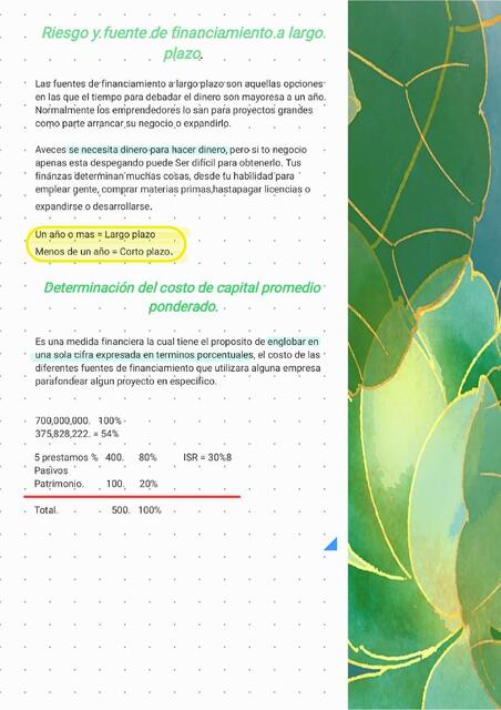 Riesgos de los financiamientos 