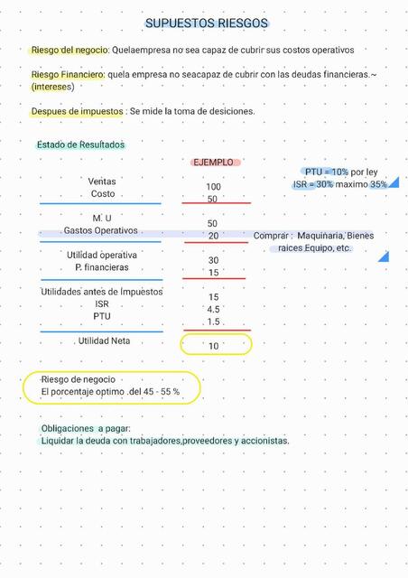 Riesgos de los negocios 