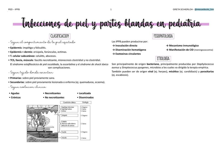 Infecciones de Piel y Partes Blandas en Pediatria