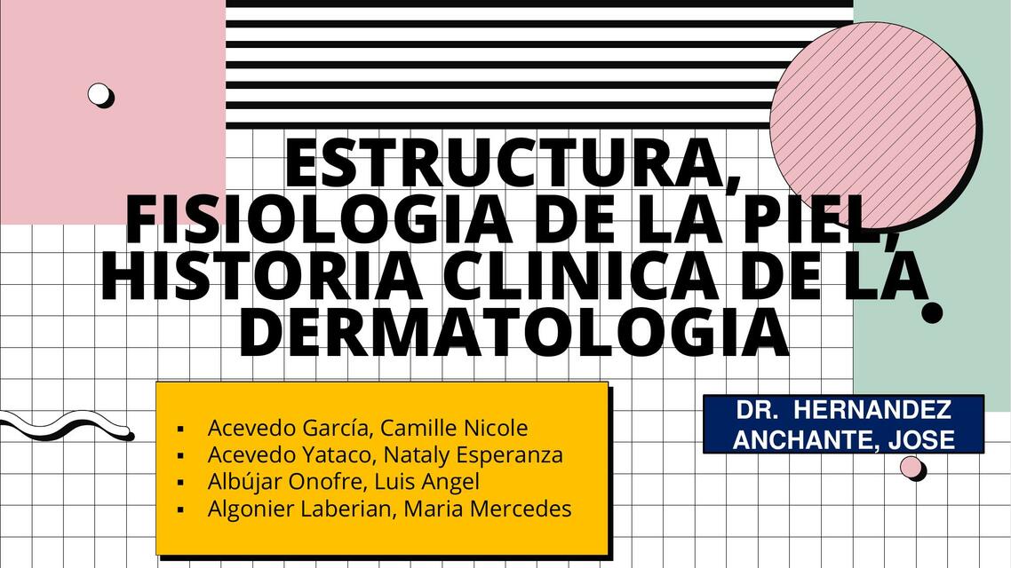 Estructura y  Fisiología de la Piel 