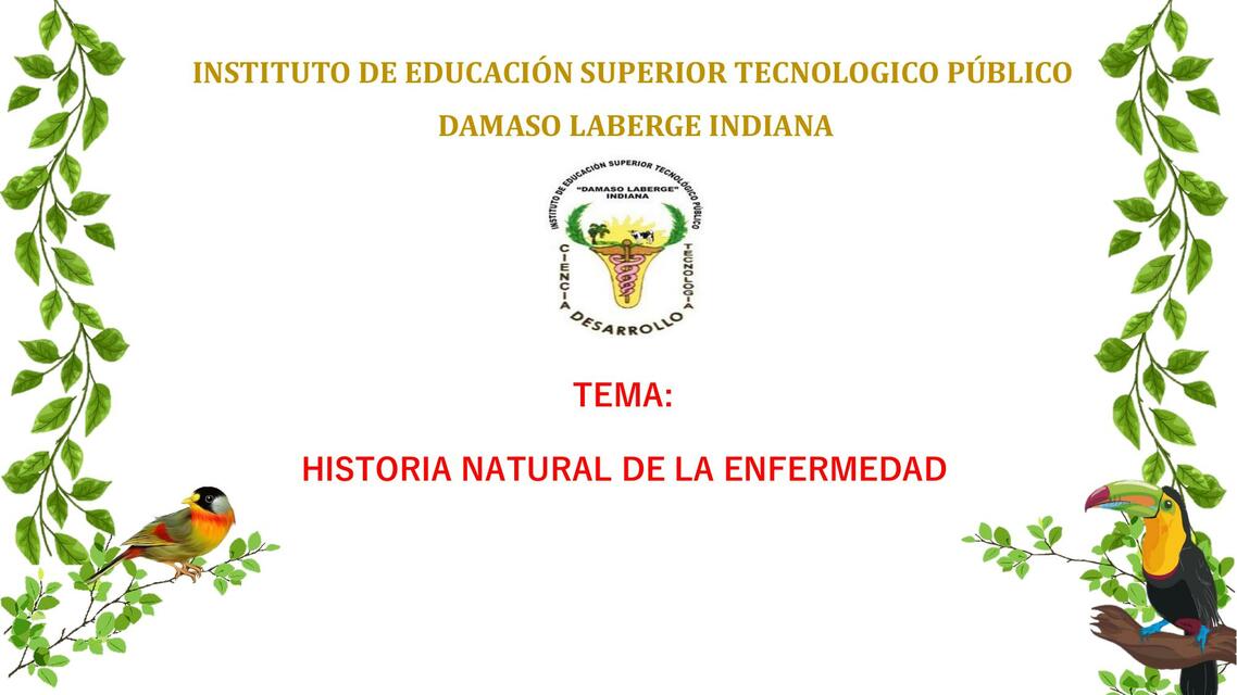 Historia Natural de la Enfermedad 