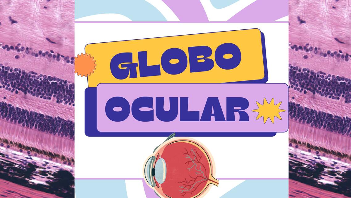 Globo Ocular