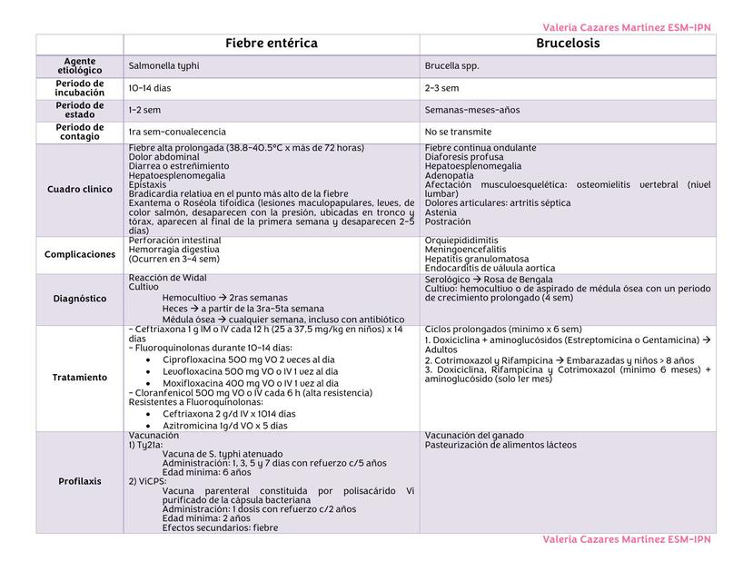 Fiebre entérica vs Brucelosis 