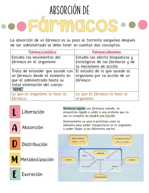 Absorsión de Fármacos