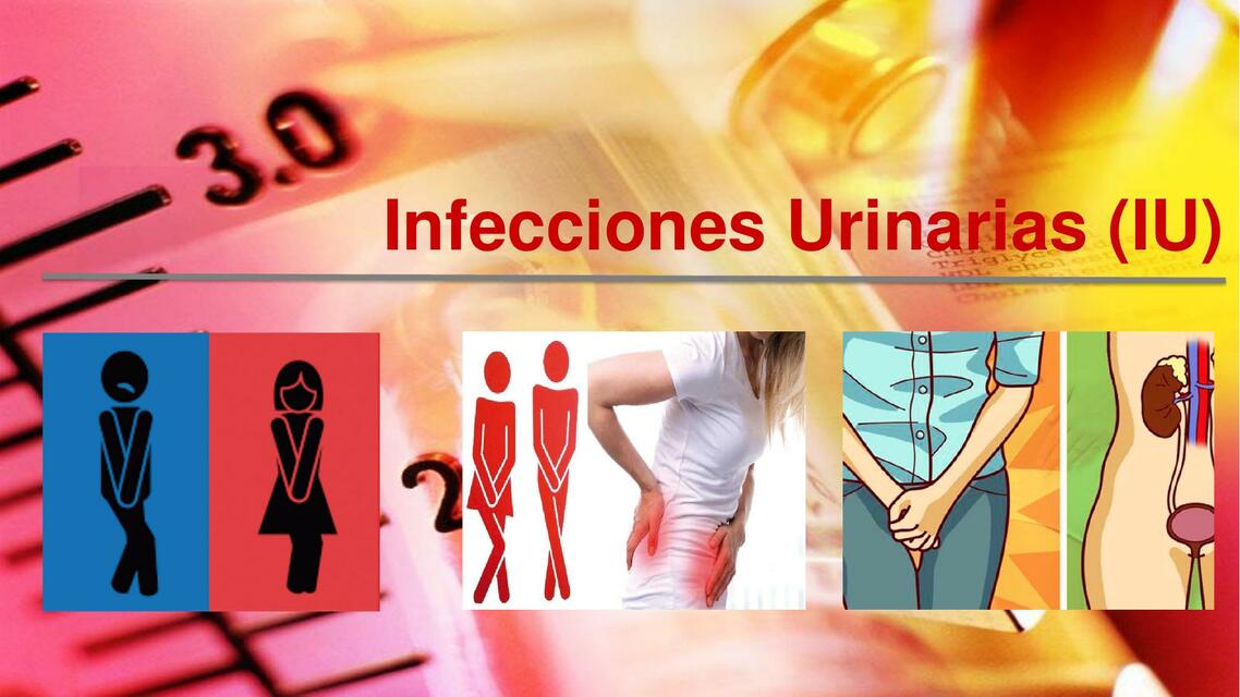 Infecciones Urinarias 