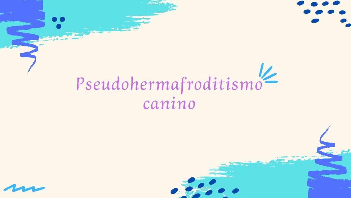 Pseudohermafroditismo Canino