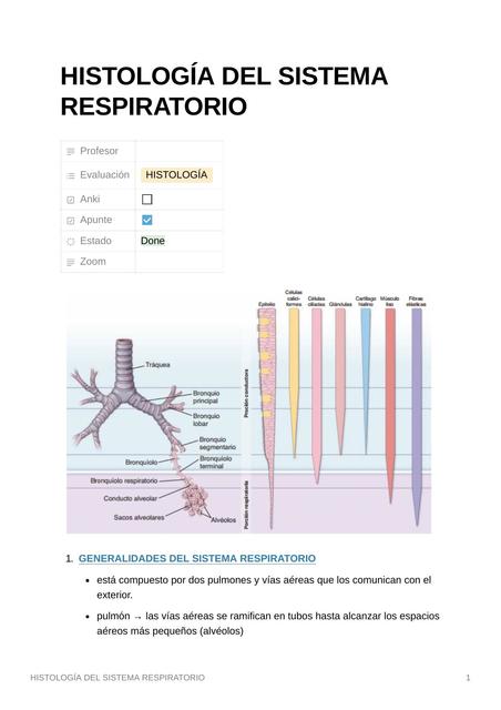 Histología del sistema respiratorio