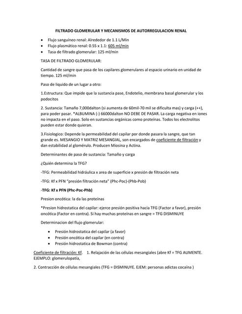 Filtrado Glomerular y Mecanismos de Autorregulación Renal 