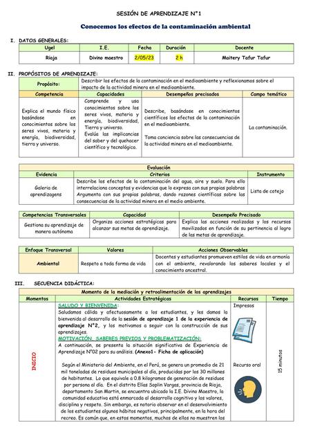 Conocemos los efectos de la contaminación ambiental 