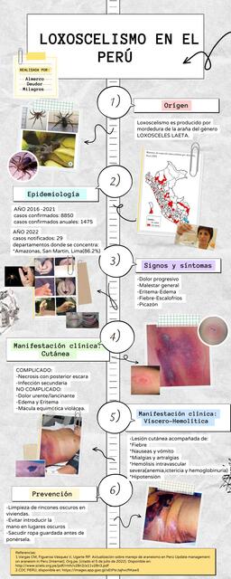 Loxoscelismo En el Perú 