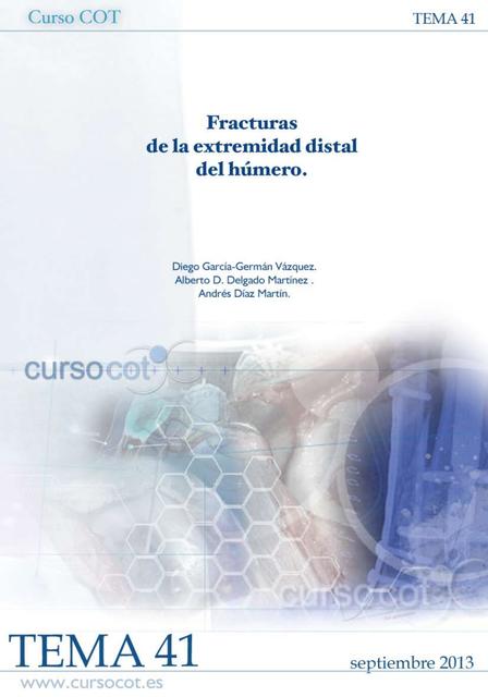 Fracturas de la extremidad distal del humero 