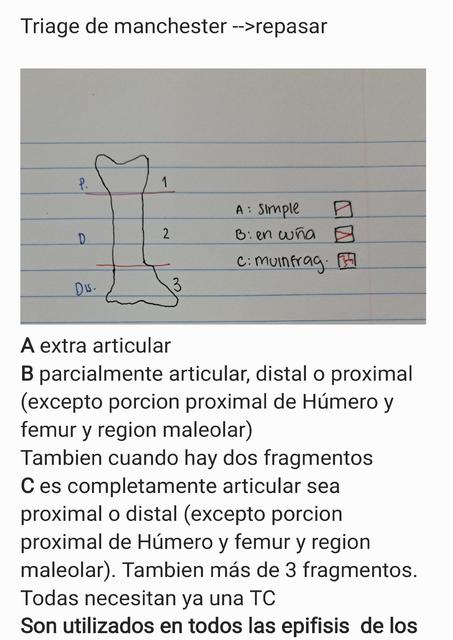 Humero y clavícula 