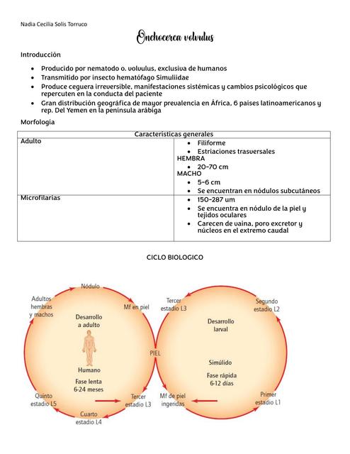 Onchocerca volvulus 