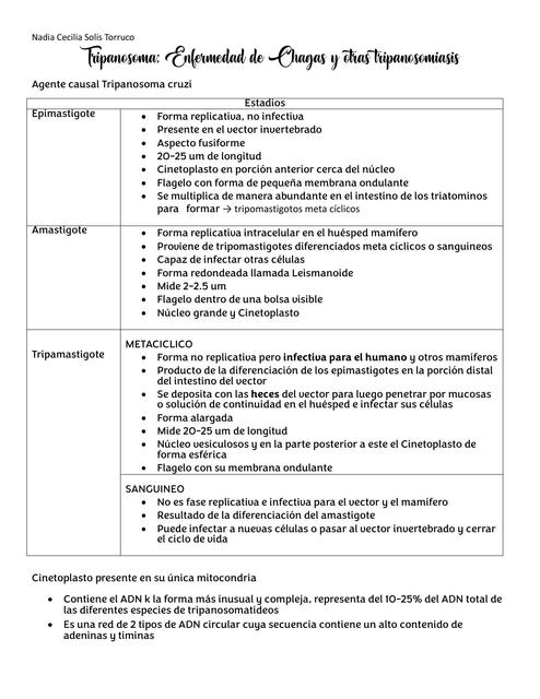 Tripanosoma: Enfermedad de Chagas y otras tripanosomiasis 