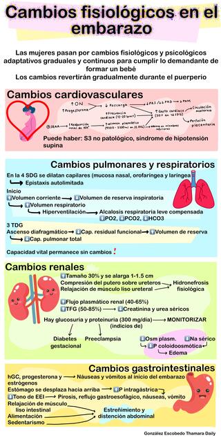 Cambios Fisiológicos En El Embarazo