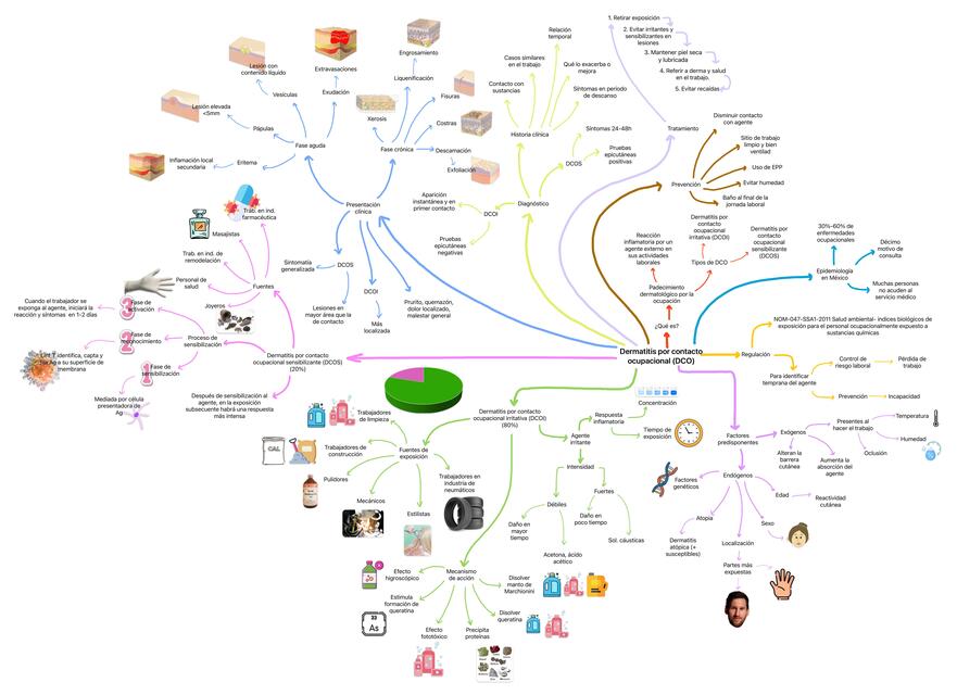 Dermatitis por contacto ocupacional 