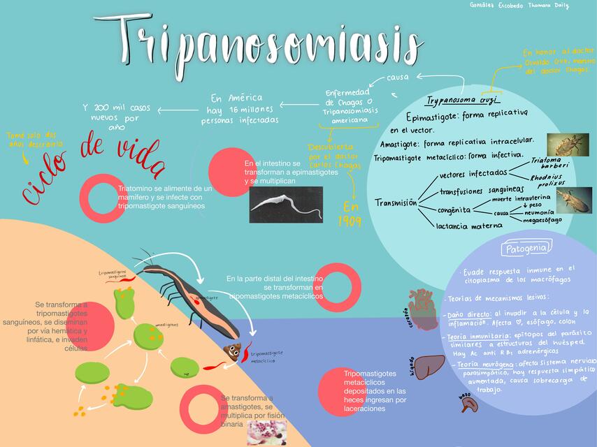 Tripanosomiasis