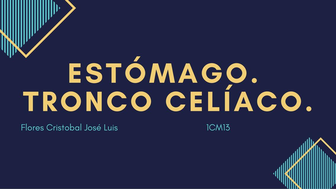 Estómago- Tronco Celiaco 