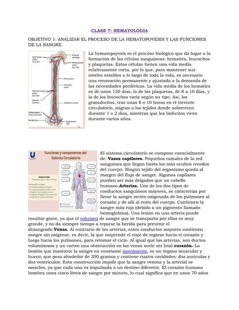 Hematología 